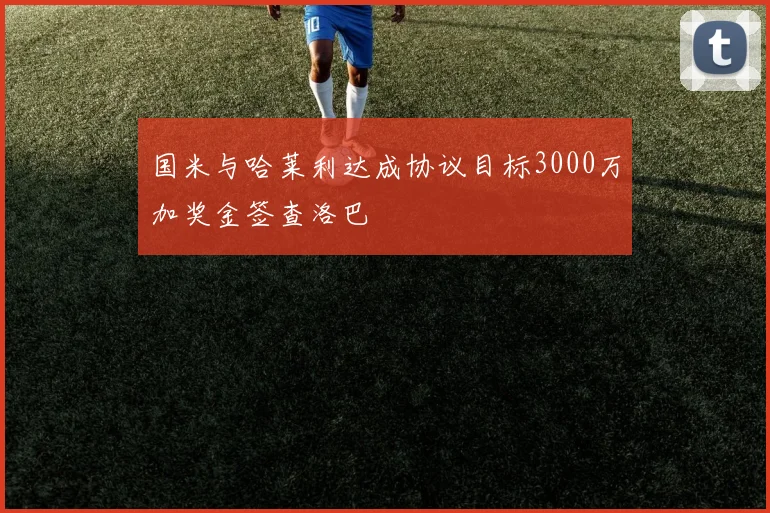 国米与哈莱利达成协议目标3000万加奖金签查洛巴