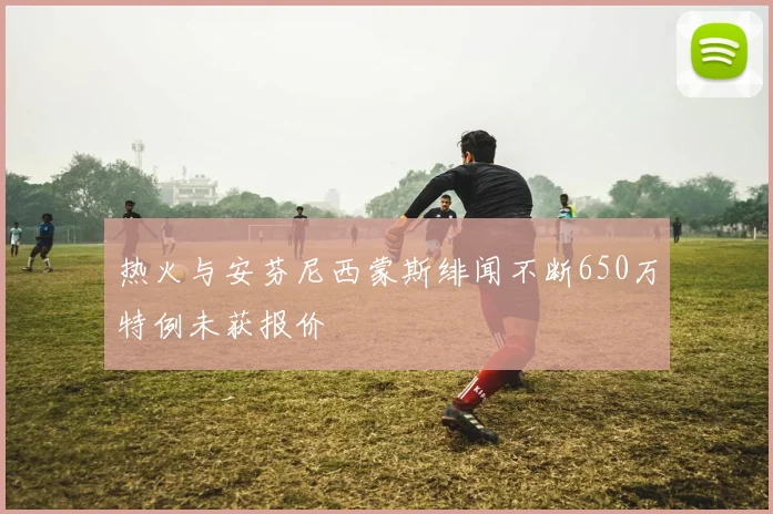 热火与安芬尼西蒙斯绯闻不断650万特例未获报价